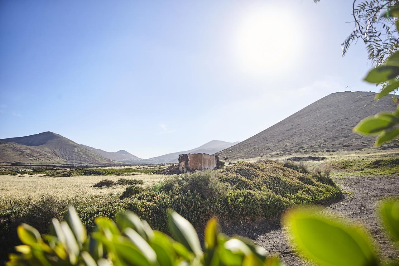 Villa Palmeras Canarias Uga Exterior photo